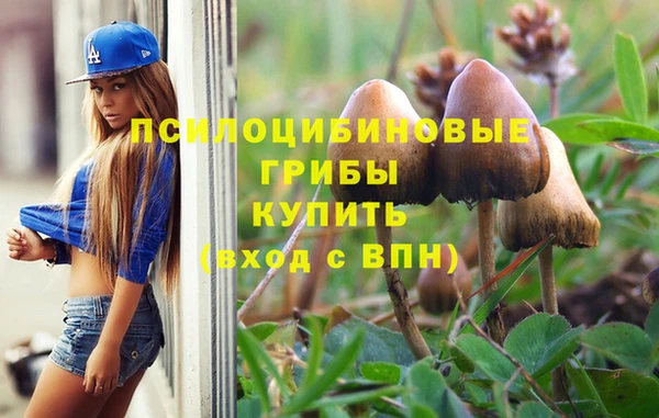 прущие крисы Михайлов