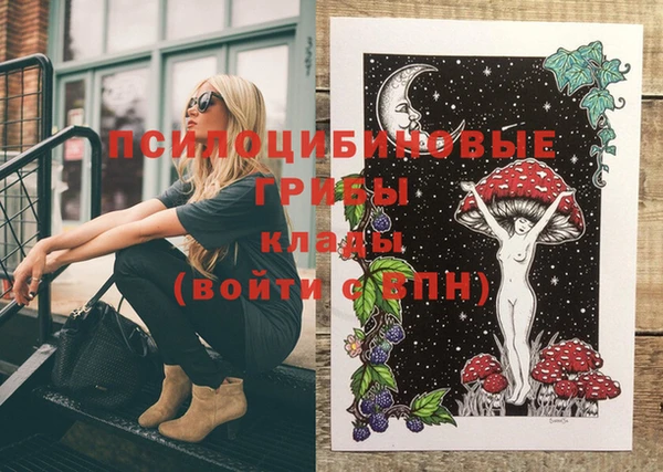 прущие крисы Михайлов